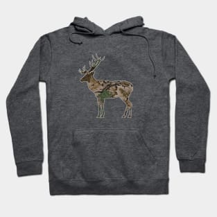 Camo Deer - 6 Hoodie